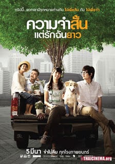 Best in Time (2009) ความจำสั้น แต่รักฉันยาว